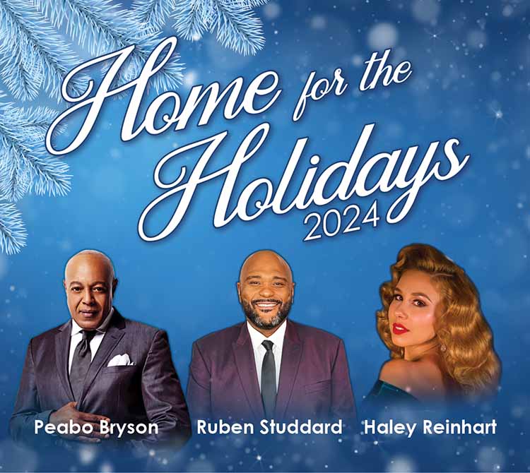 Home-for-the-Holidays