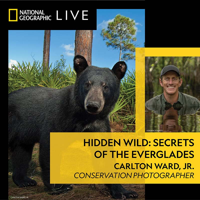 National-Geographic-Hidden-Wild-Secrets-of-the-Everglades