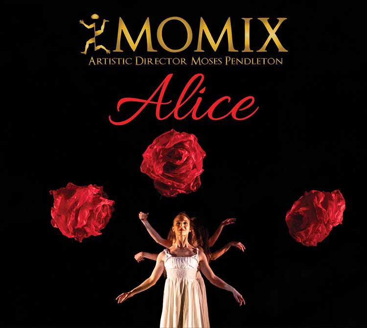 Momix-Alice