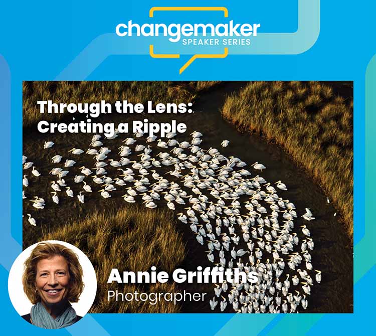 Through-the-Lens