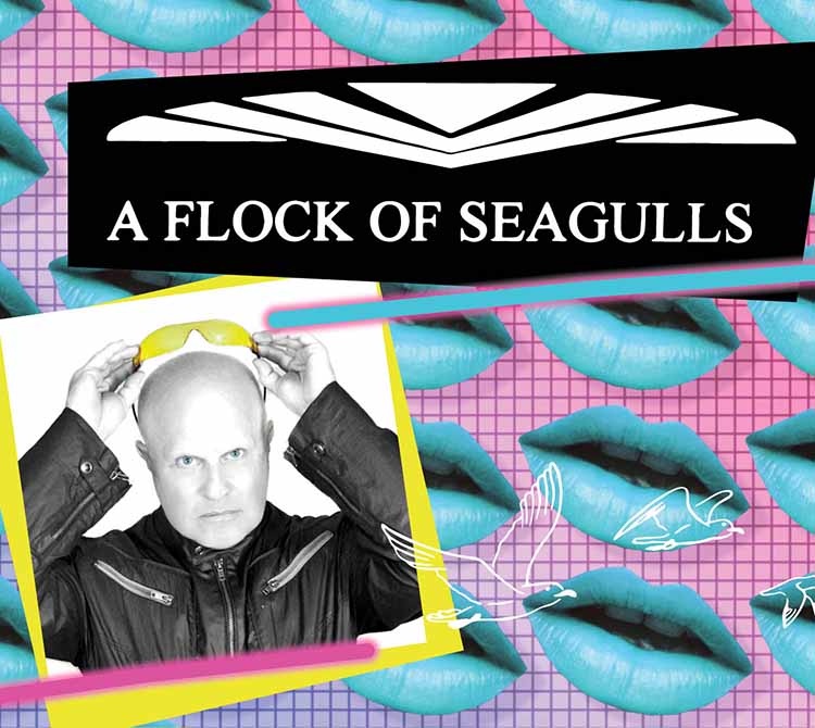 A-Flock-of-Seagulls